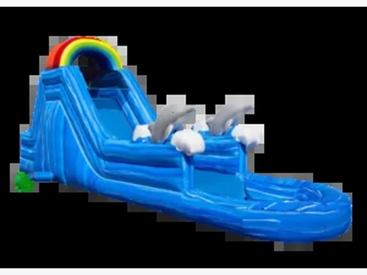 14' Dolphin Dive water slide rentals option for Arlington, VA