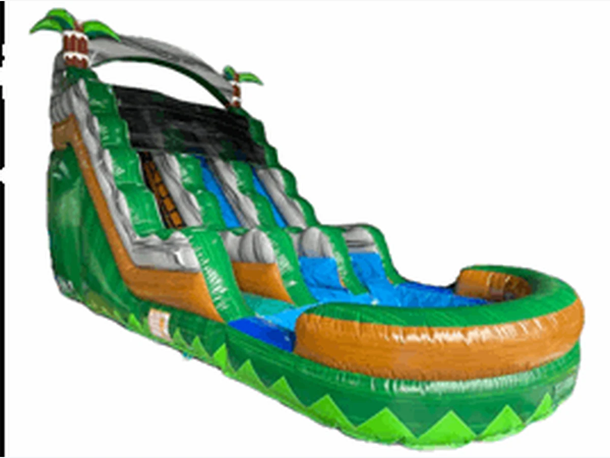 16FT 2 Lane Amazon Water Slide Slides water slide rentals option for Richmond, VA