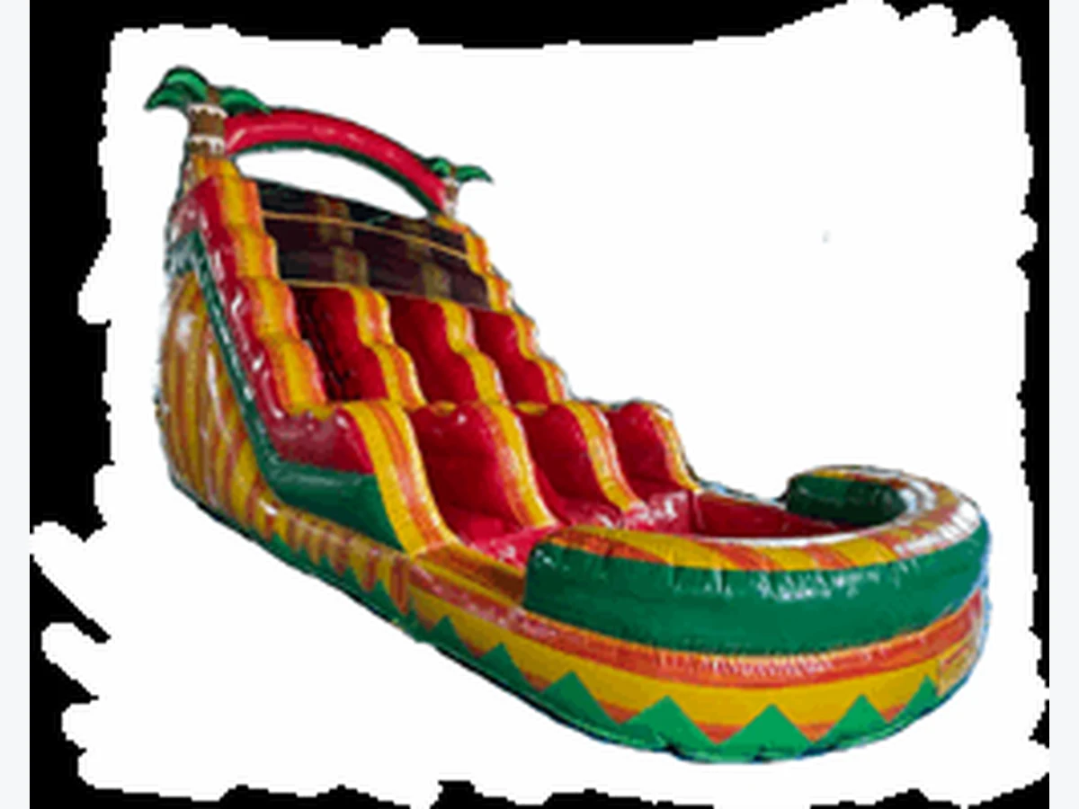 16FT 2 Lane Tropical Water Slide Slides water slide rentals option for Richmond, VA