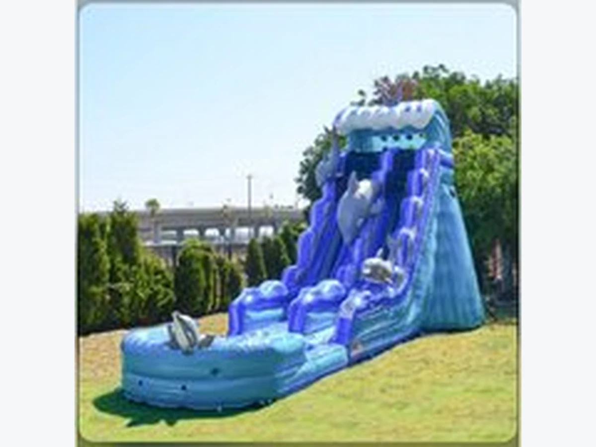 20ft Dolphin Waterslide water slide rentals option for Savannah, GA