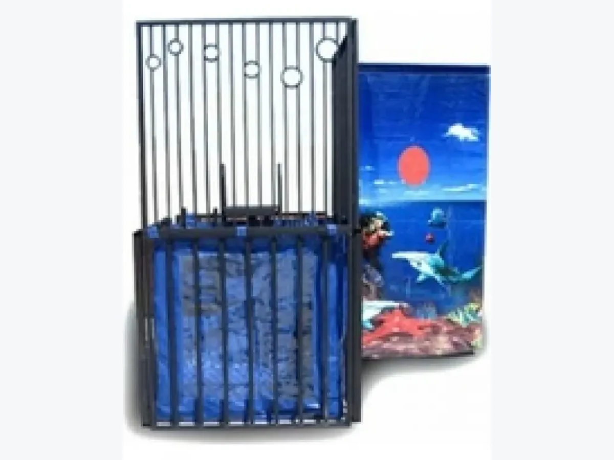 Dunk Tank interactive game rentals option for Macon, GA
