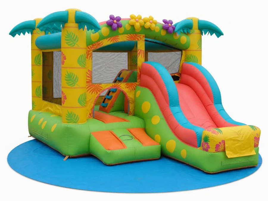 Tropical Dual Kids Water Slide water slide rentals option for Keene, NH