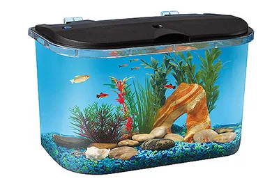 Amazing Aquariums rental East Coast